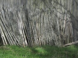 ���������, 24 ��� 2015