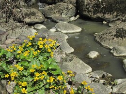 ���������, 24 ��� 2015