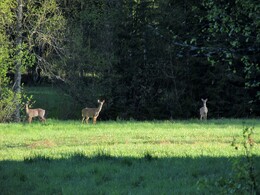 �����, ���������, 24 ��� 2015