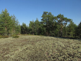 ���������� ��������, 30 ��� 2015