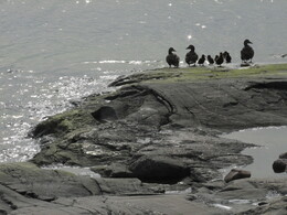 ���������, 6 ���� 2015