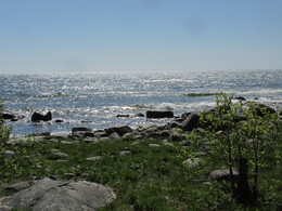 ���������, 6 ���� 2015