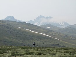 ������������ ������, 7 ���� 2015