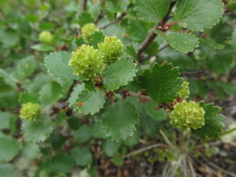 ���������� �������, ������������ ������, 7 ���� 2015