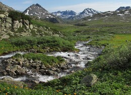 ������������ ������, 10 ���� 2015