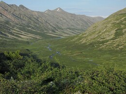 ������������ ������, 10 ���� 2015