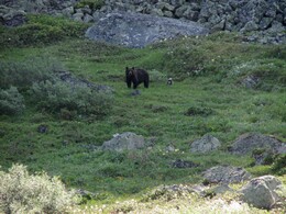 �������, ������������ ������, 11 ���� 2015