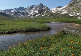 ������������ ������, 11 ���� 2015