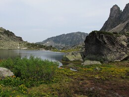 ������������ ������, 13 ���� 2015