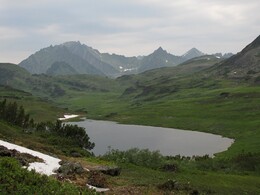 ������������ ������, 14 ���� 2015