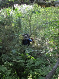 ������������ ������, 14 ���� 2015