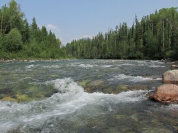 ���� �������, ������������ ������, 15 ���� 2015