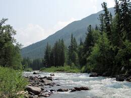 ������������ ������, 15 ���� 2015