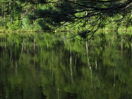 ���������, 22 ������� 2015