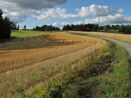 ���������, 29 ������� 2015