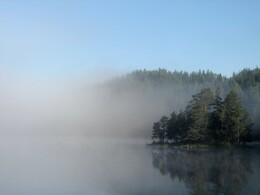 ���������, 31 ������� 2015