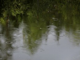 ���������, 31 ������� 2015