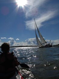 ������������� ����, ���������, 5 �������� 2015