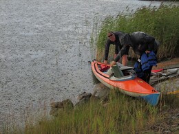 ������������� ����, ���������, 5 �������� 2015