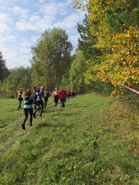 ����������, 19 ������� 2015