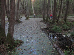 ���� 100�� �� �����, ������, 26 �������� 2015