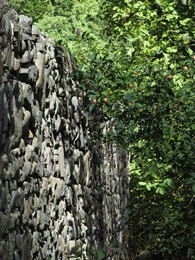 ��������, ������, 5 ������� 2015