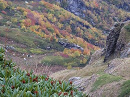 ��������, ������, 7 ������� 2015