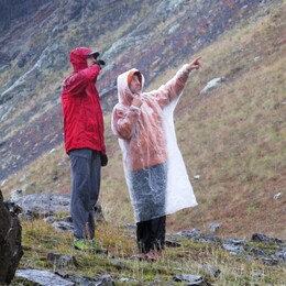 ��������, ������, 7 ������� 2015