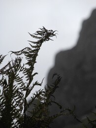 ��������, ������, 8 ������� 2015