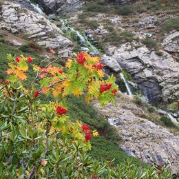 ��������, ������, 9 ������� 2015