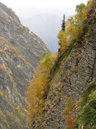 ��������, ������, 9 ������� 2015