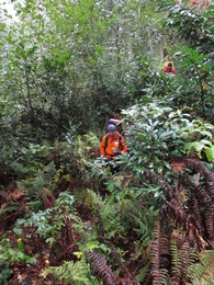 ��������, ������, 10 ������� 2015