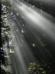 �������, ������, 17 ������� 2015