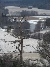 ���������, 31 ������� 2015