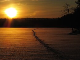 ���� Hossa, ���������, 4 ������ 2016