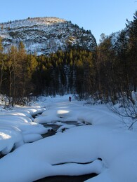 ������ ���� Reisa, �������� ��������, 10 ����� 2016