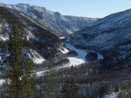 ������ ���� Reisa, �������� ��������, 10 ����� 2016