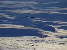 �������� ��������, 10 ����� 2016