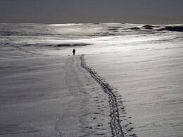 � ������ ���� Halti, �� ������� ��������� � ��������, 11 ����� 2016