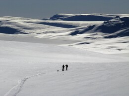 �� ������� ���� Halti, �� ������� ��������� � ��������, 11 ����� 2016