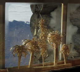 �������� ���������, 11 ����� 2016