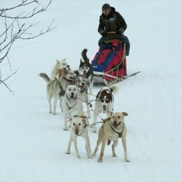 �������� ���������, 11 ����� 2016