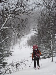 ���� ������, �������� ��������, 17 ����� 2016