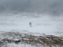 ���� ������, �������� ��������, 17 ����� 2016