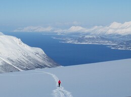 ���� � ������ ����ӣ, �������� ��������, 21 ����� 2016