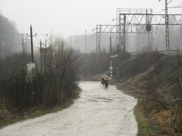 �����������, 16 ������ 2016