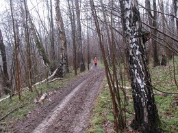 �����������, 16 ������ 2016