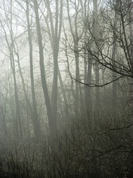 �����������, 17 ������ 2016