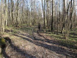 �����������, 17 ������ 2016