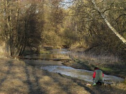 ��������� �� ���� �����, �����������, 17 ������ 2016